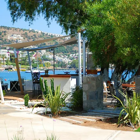 Cennet Park 3* Gundogan (Bodrum)