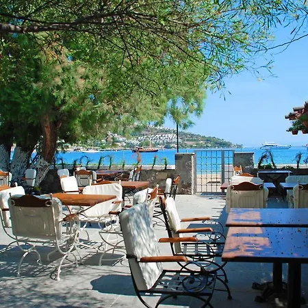 Hotell Cennet Park